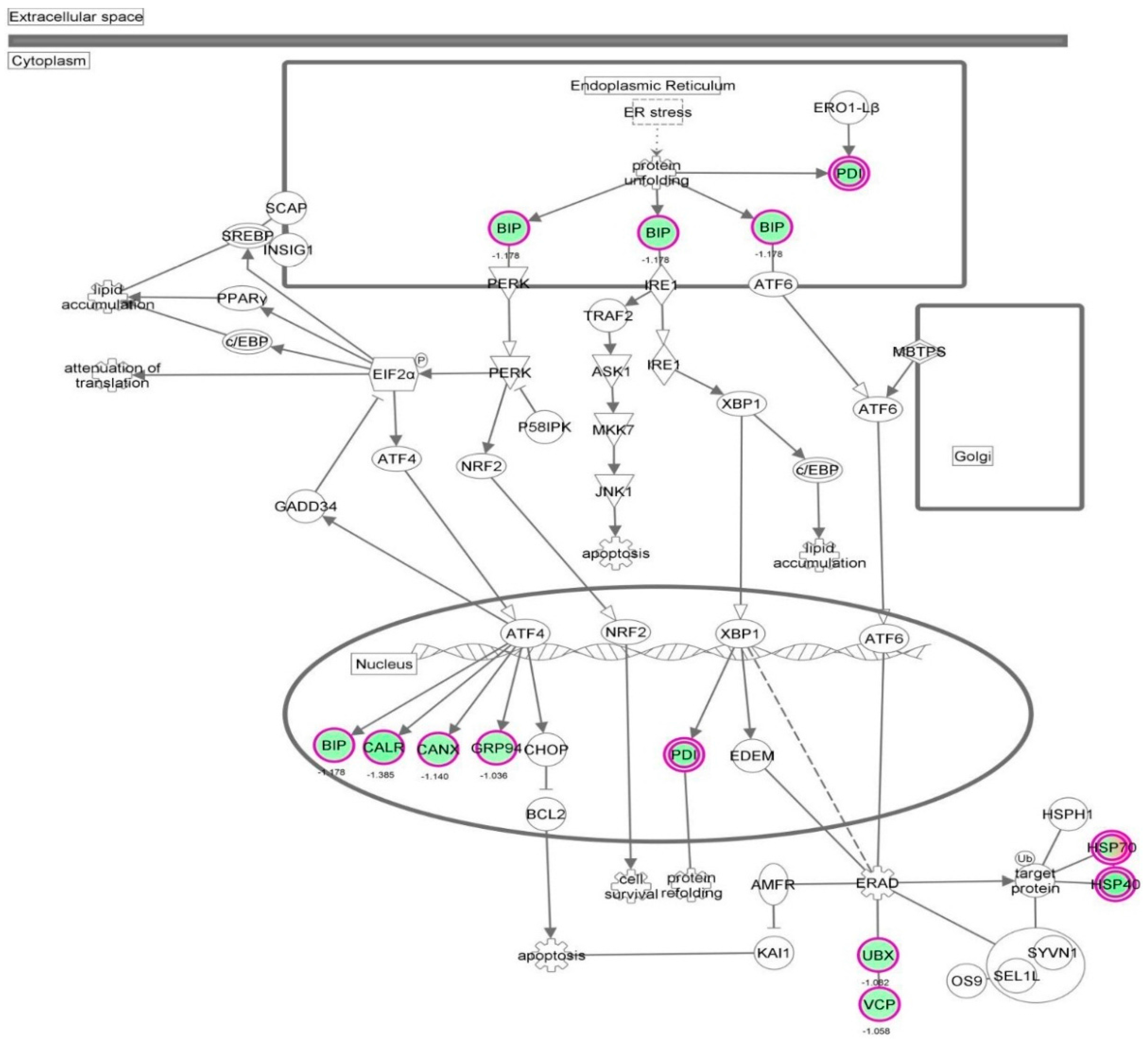 Molecules 21 00148 g035 550