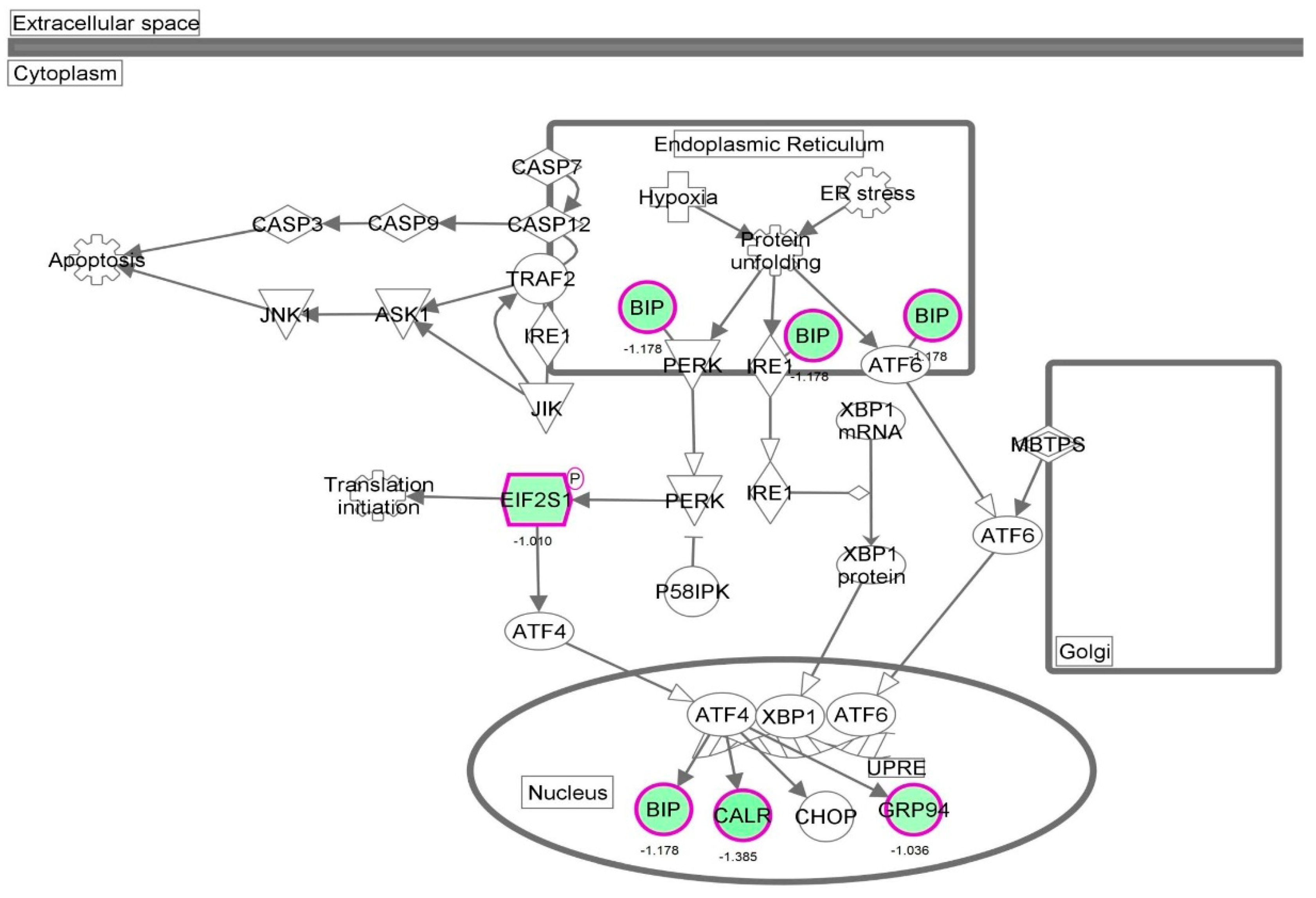 Molecules 21 00148 g036 550