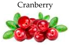 Molecules 21 00169 i005