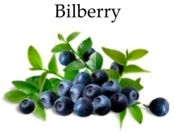 Molecules 21 00169 i006