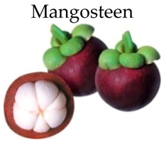 Molecules 21 00169 i007