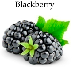 Molecules 21 00169 i008