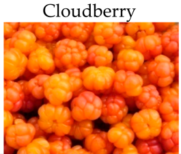 Molecules 21 00169 i011