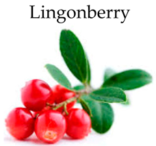 Molecules 21 00169 i013