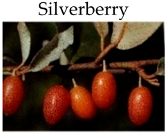 Molecules 21 00169 i017