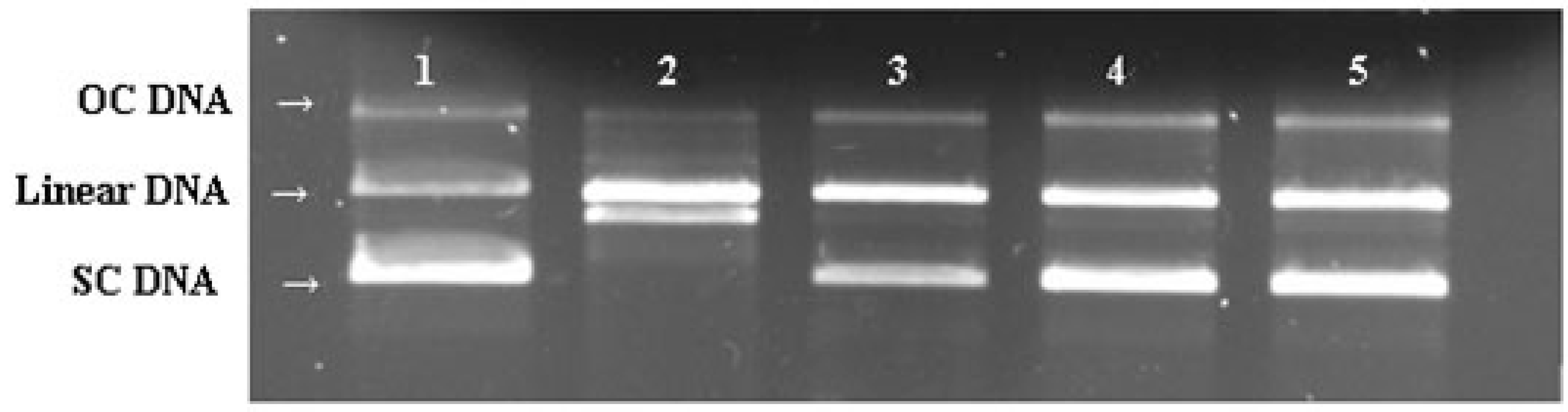 Molecules 21 00174 g007 550