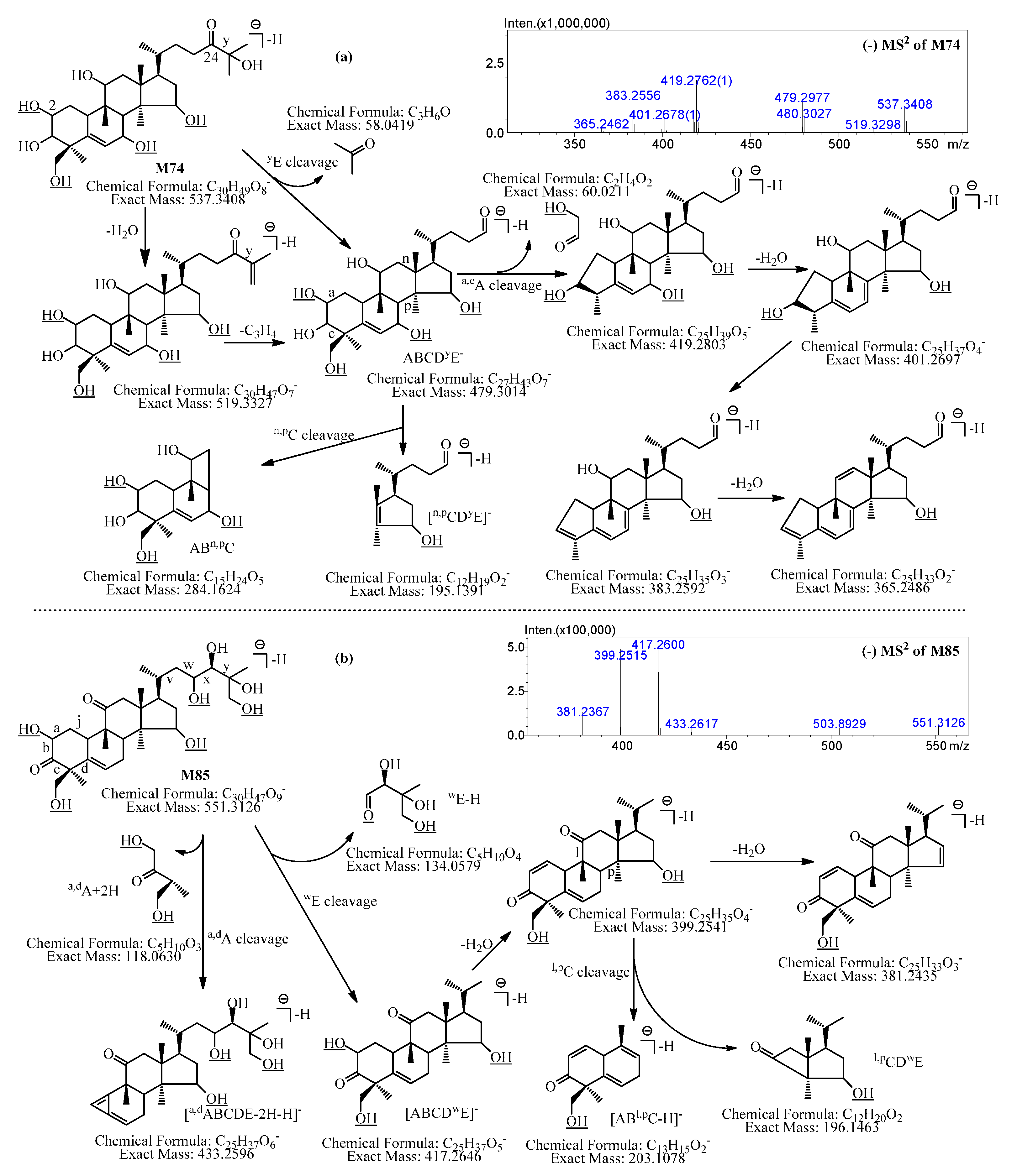Molecules 21 00176 g003