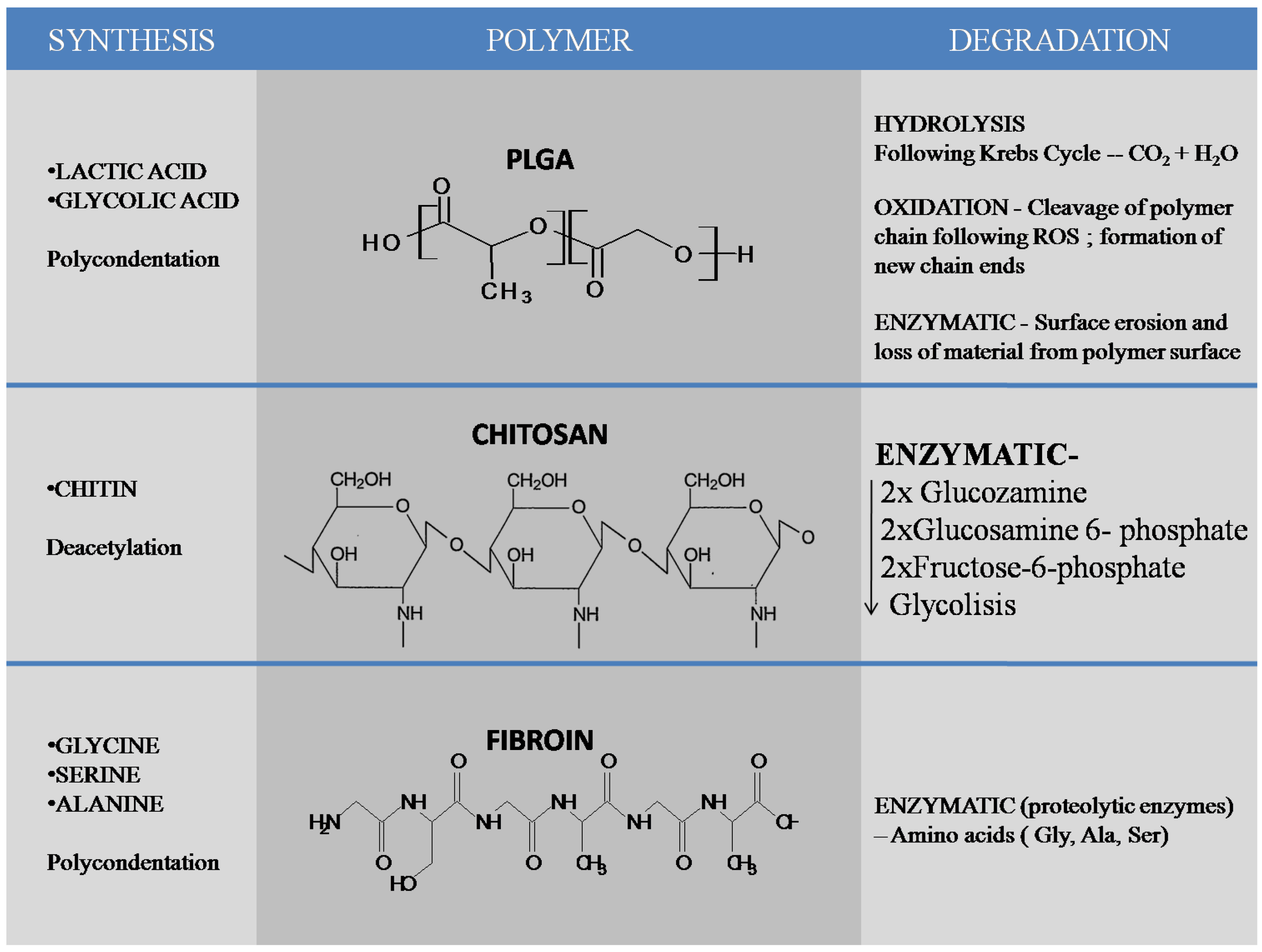 Molecules 21 00207 g001