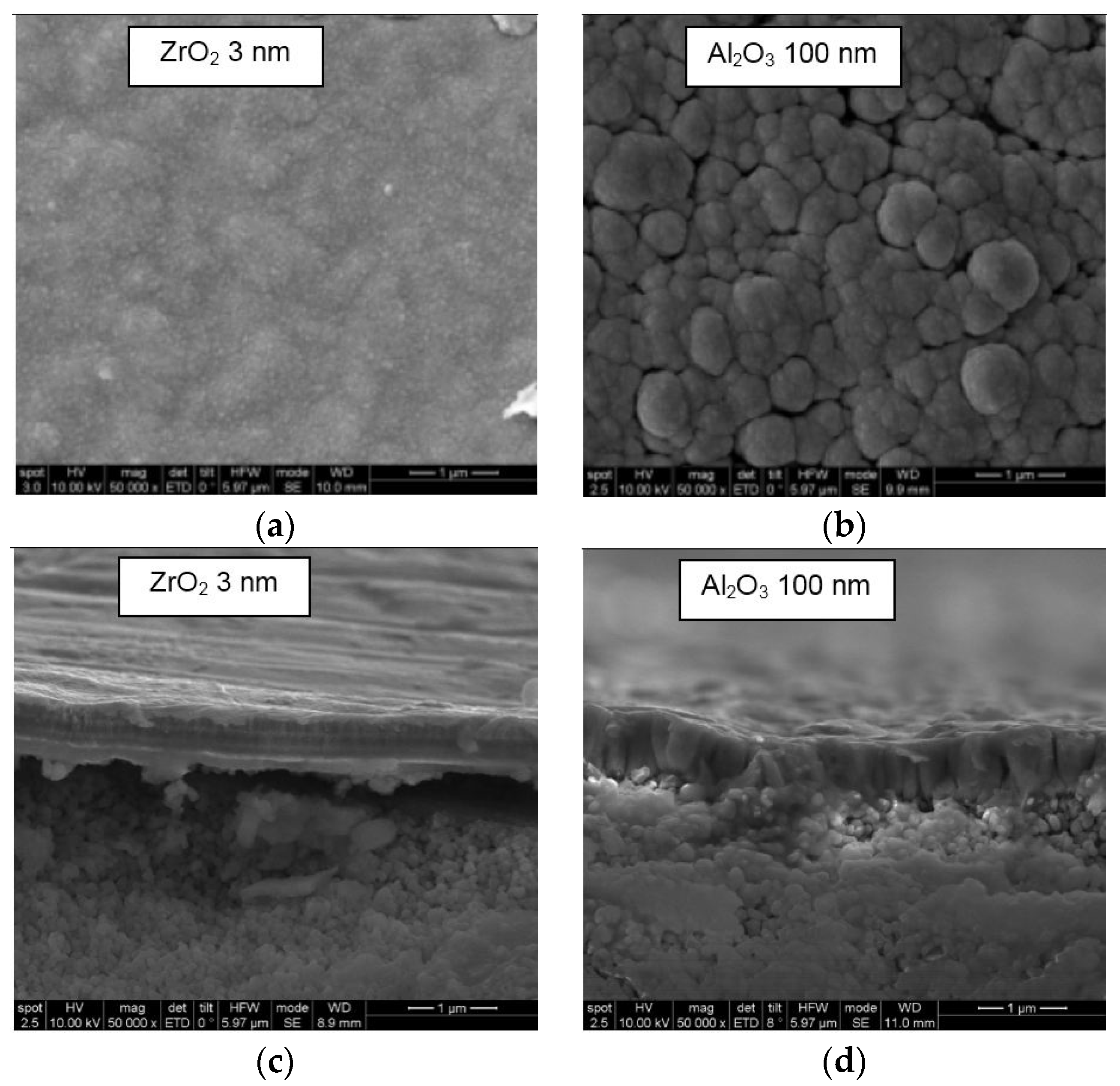 Molecules 21 00210 g004 550