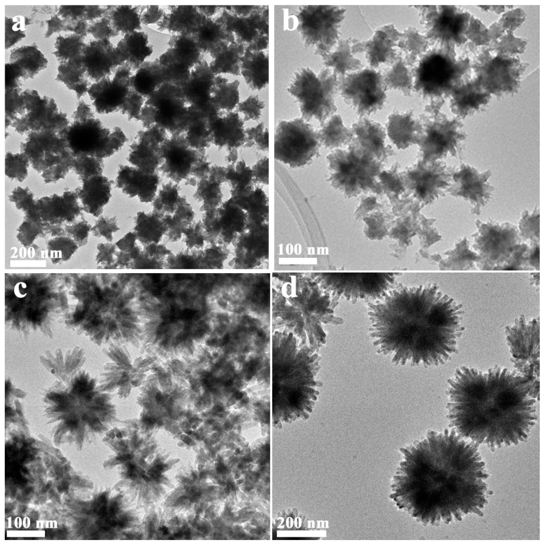Molecules 21 00213 g003
