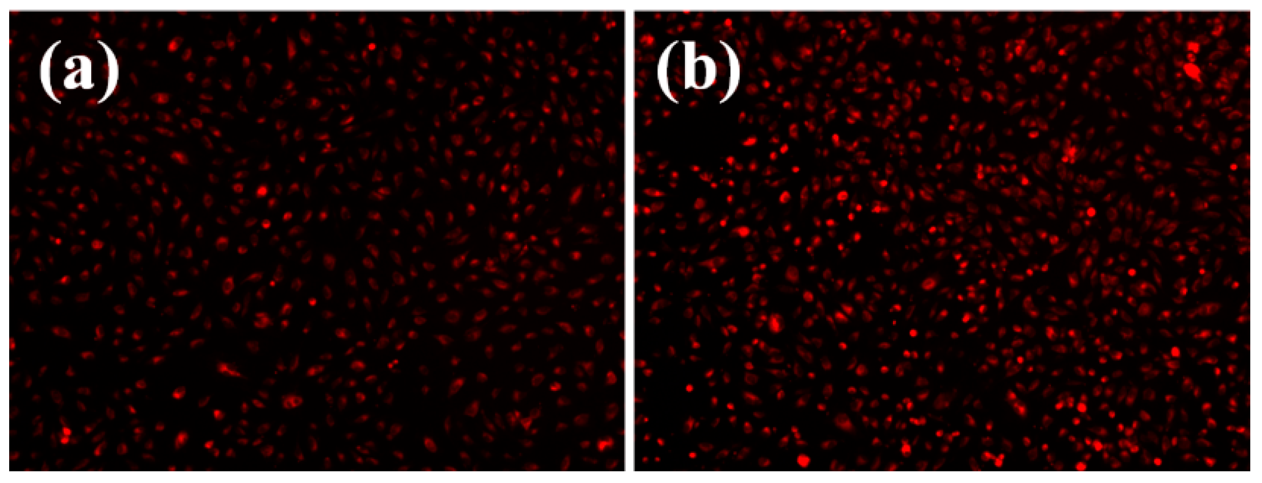 Molecules 21 00220 g005