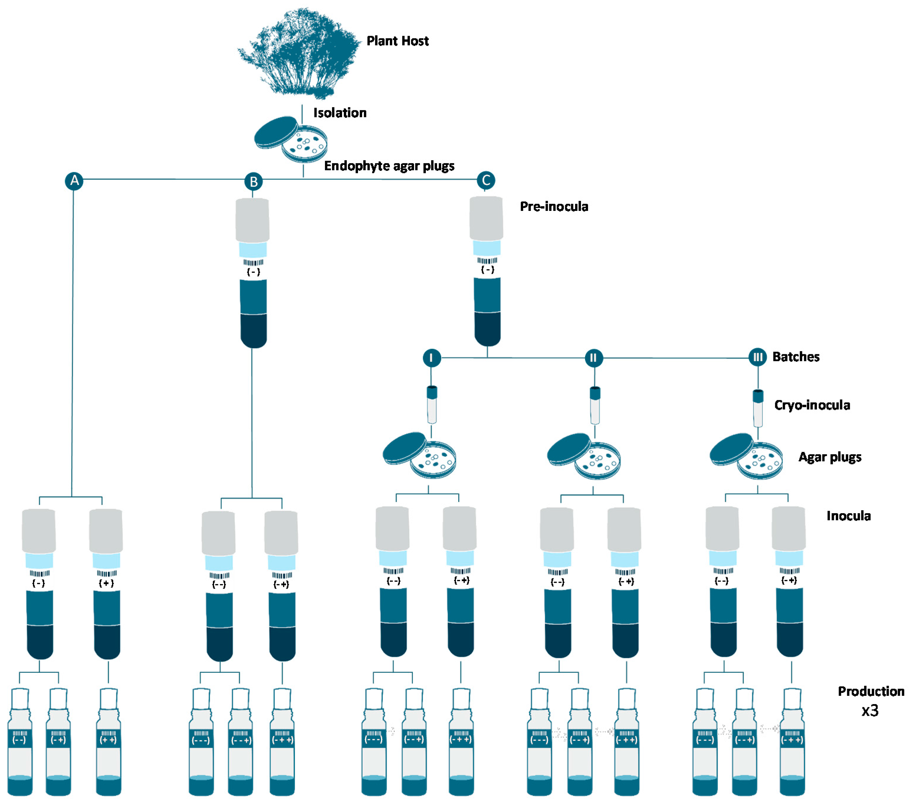 Molecules 21 00234 g003