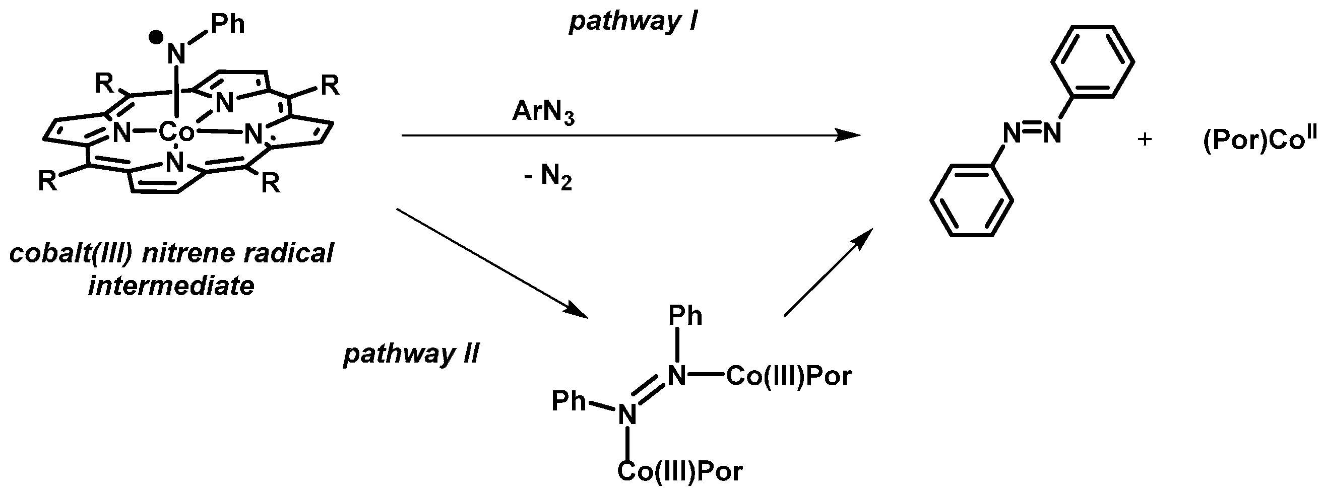 Molecules 21 00242 g014