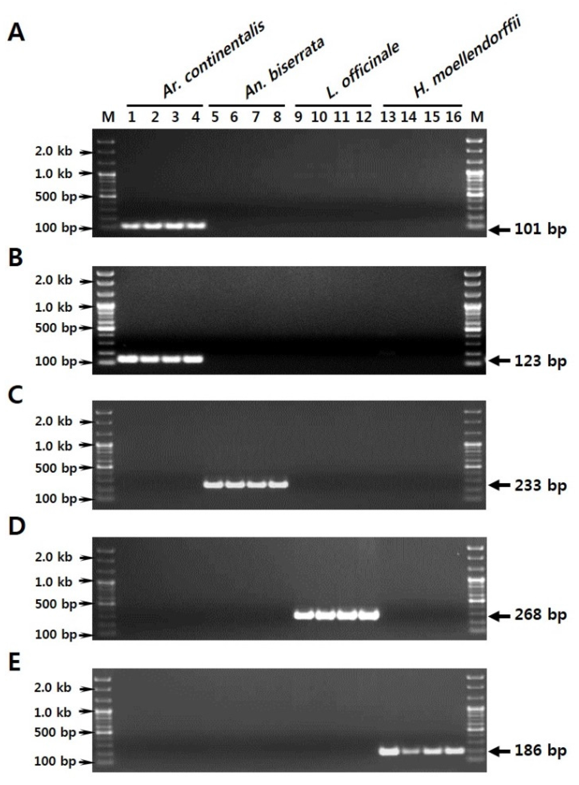Molecules 21 00270 g002