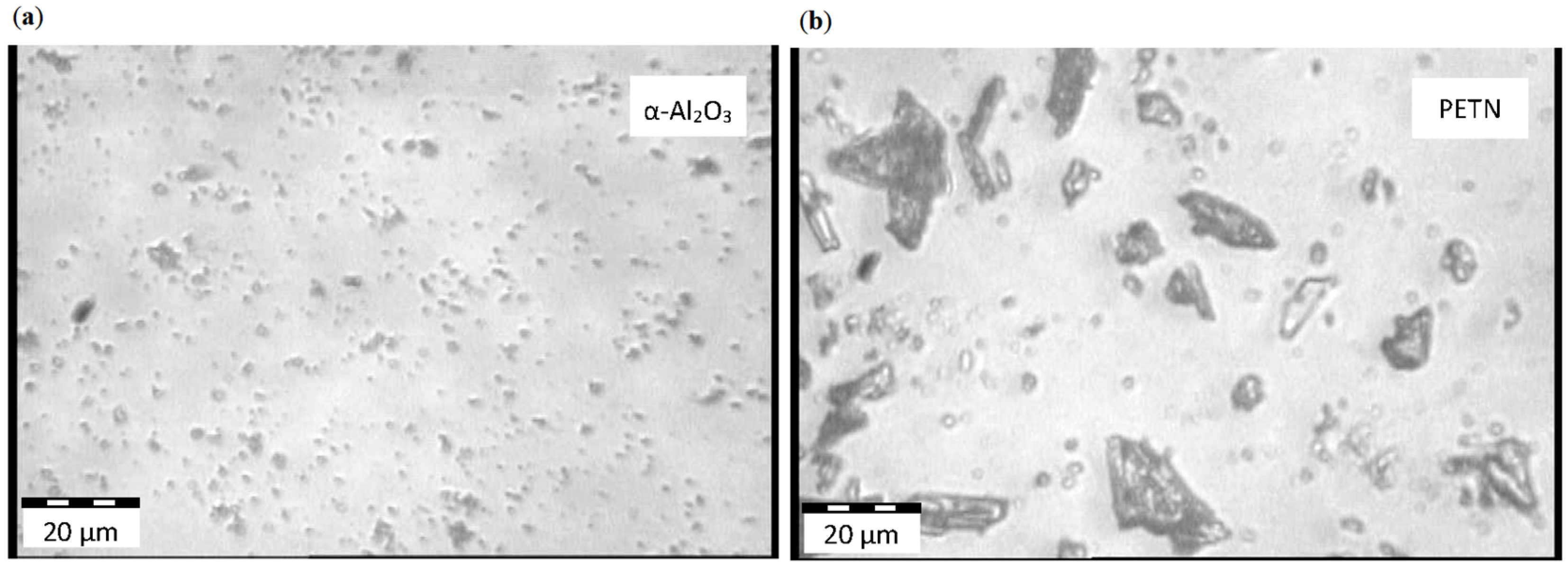 Molecules 21 00289 g004