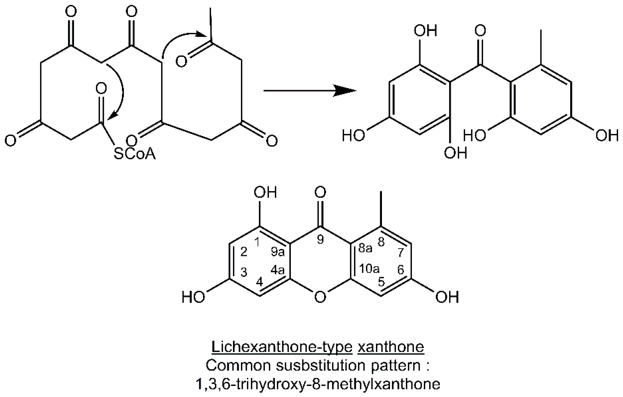 Molecules 21 00294 g001