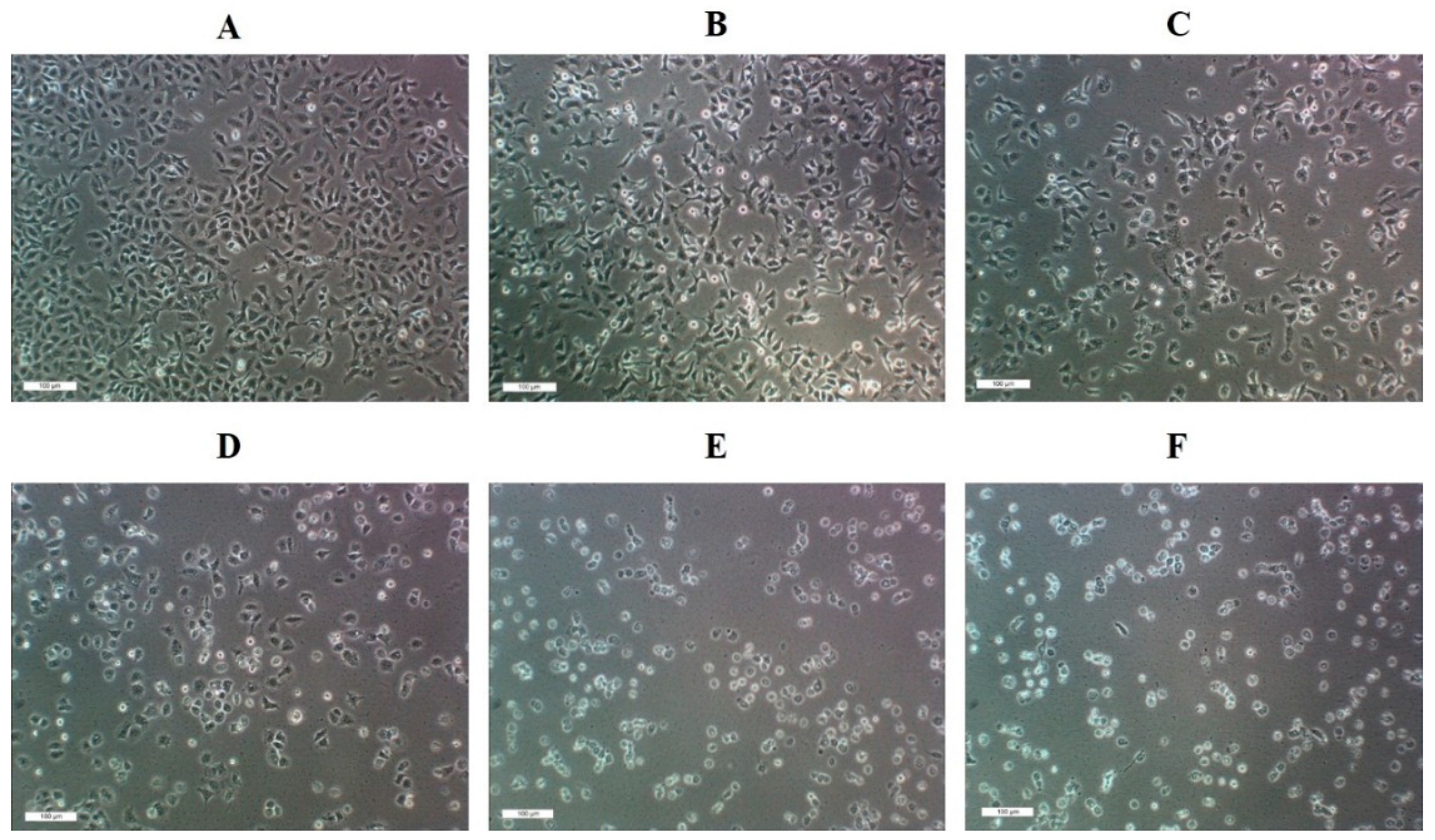 Molecules 21 00297 g005