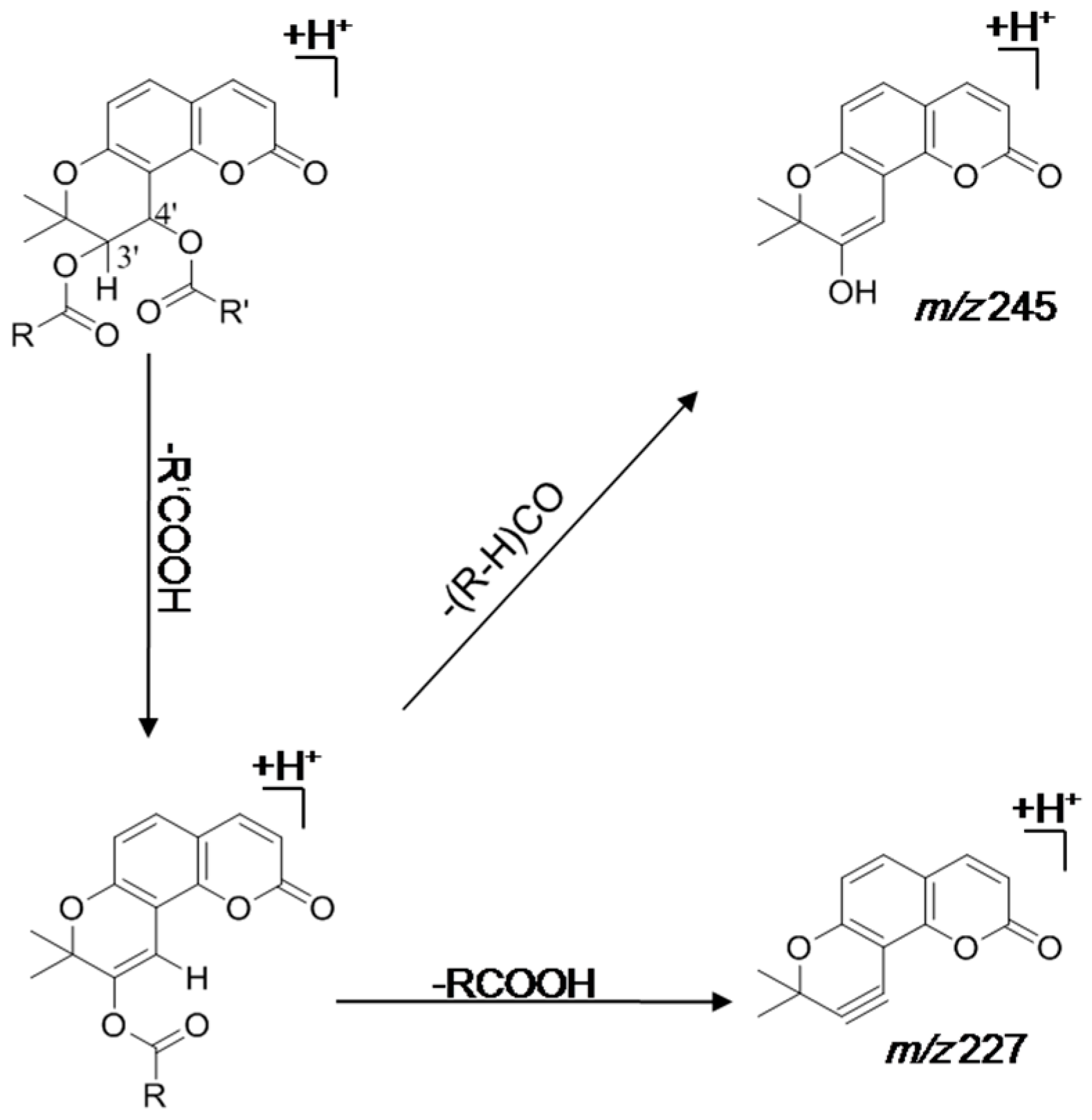 Molecules 21 00314 g002
