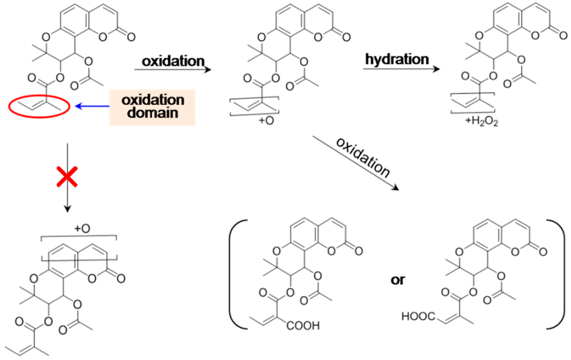 Molecules 21 00314 g005