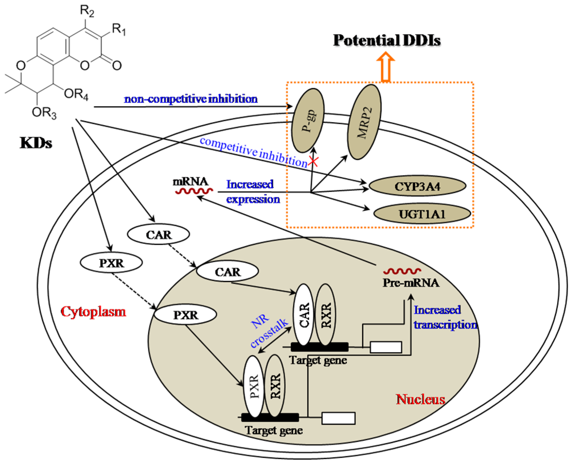 Molecules 21 00314 g008