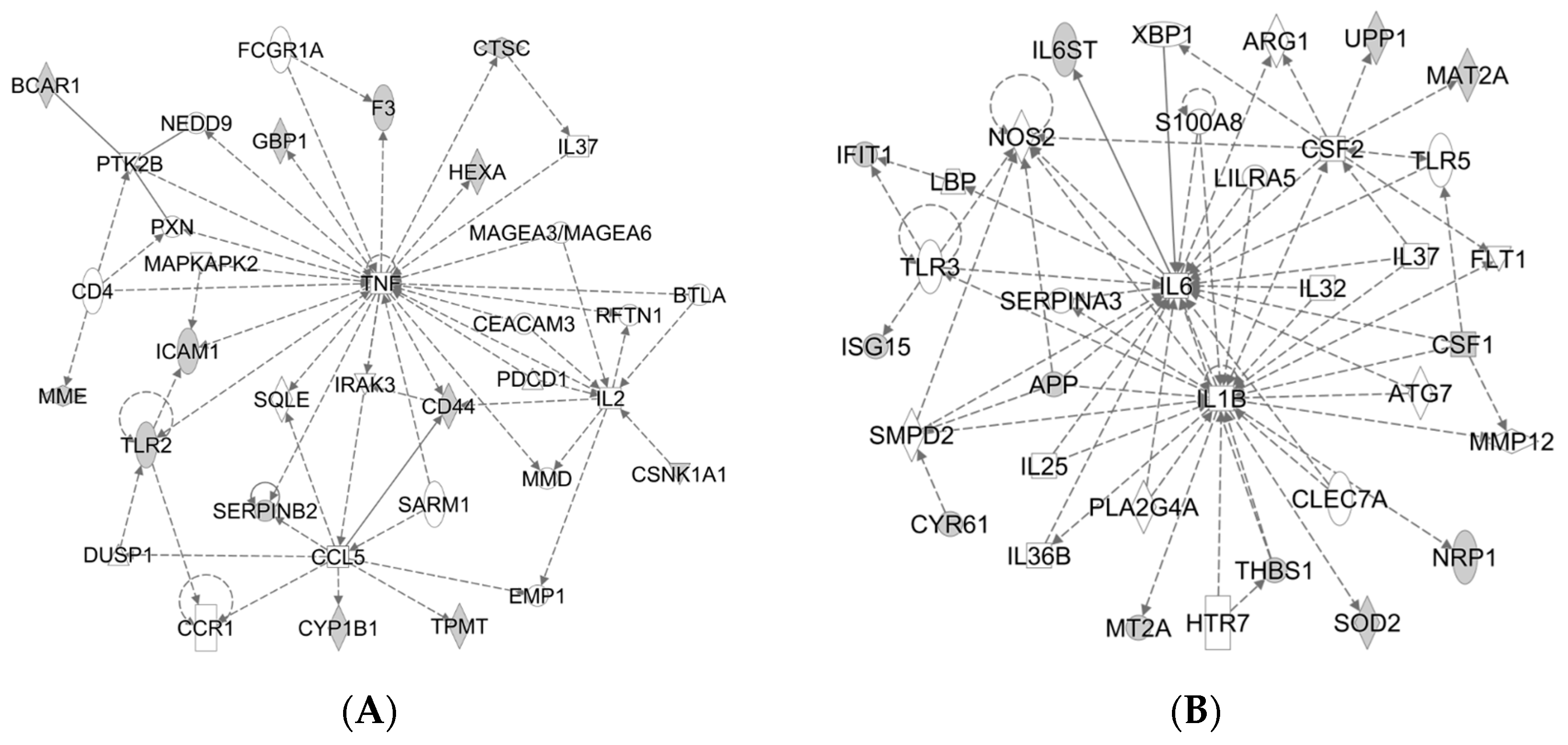 Molecules 21 00322 g002
