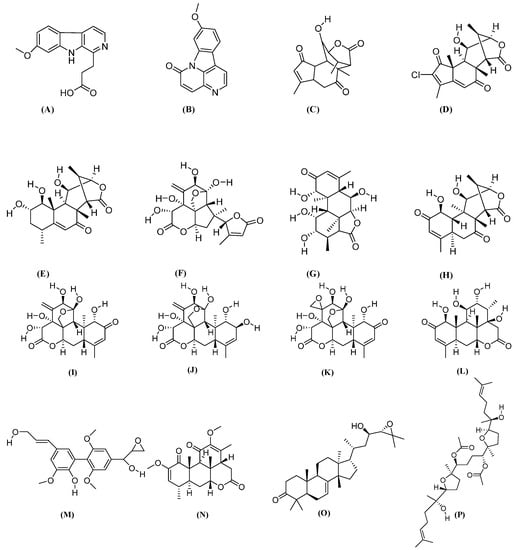 Molecules Free Full Text Review On A Traditional Herbal