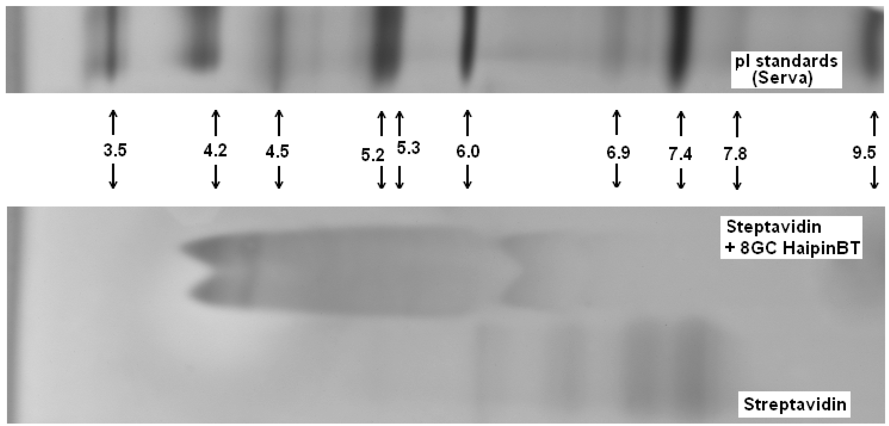 Molecules 21 00346 g006