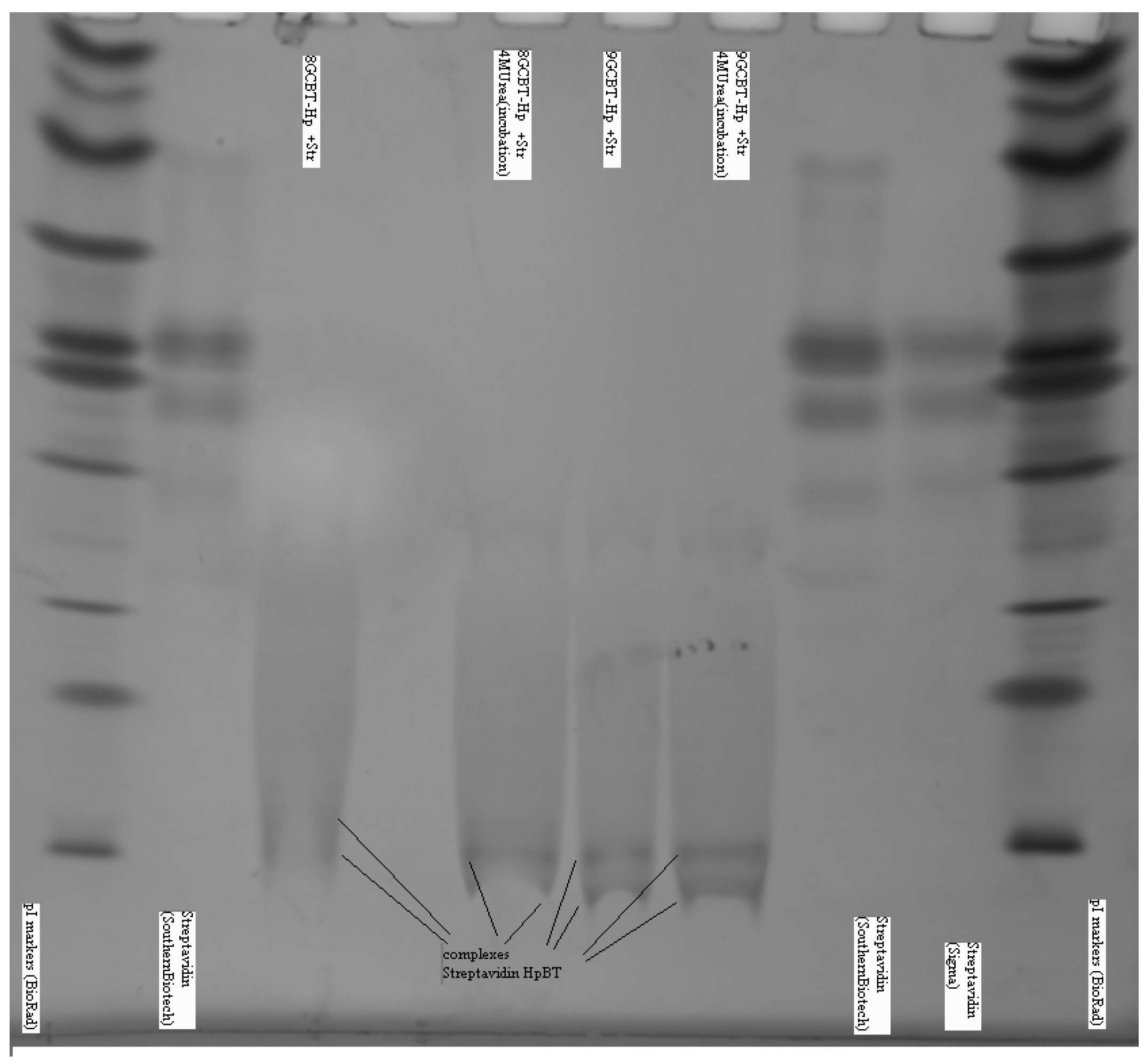 Molecules 21 00346 g007
