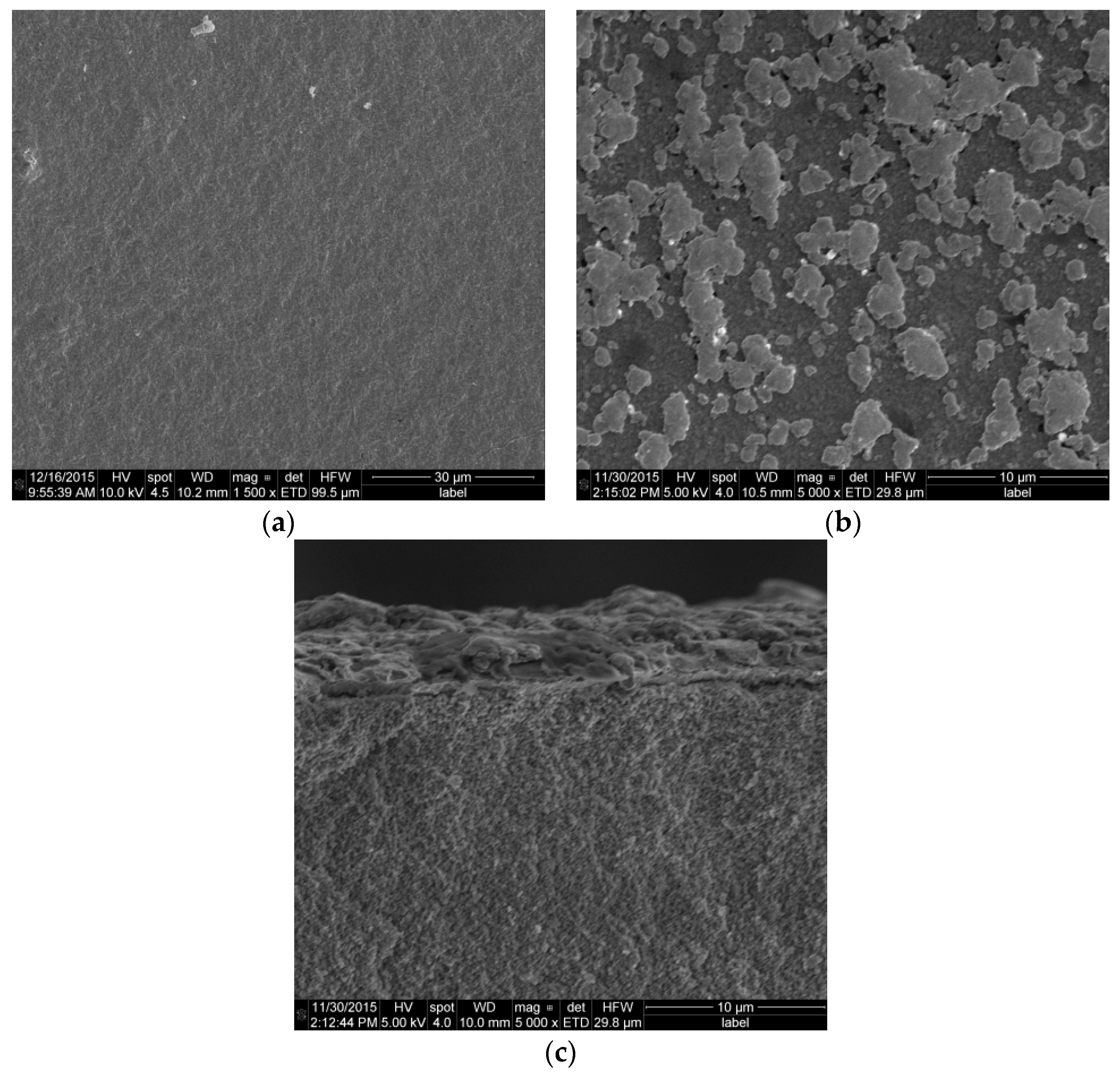 Molecules 21 00376 g010 550