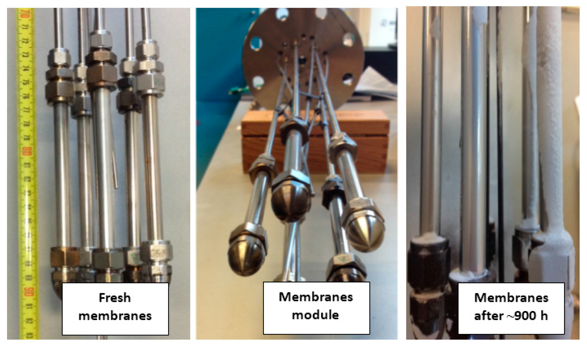 Molecules 21 00376 g011 550