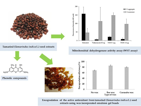 Molecules Free Full Text Development Of Wax Incorporated Emulsion Gel Beads For The Encapsulation And Intragastric Floating Delivery Of The Active Antioxidant From Tamarindus Indica L Html