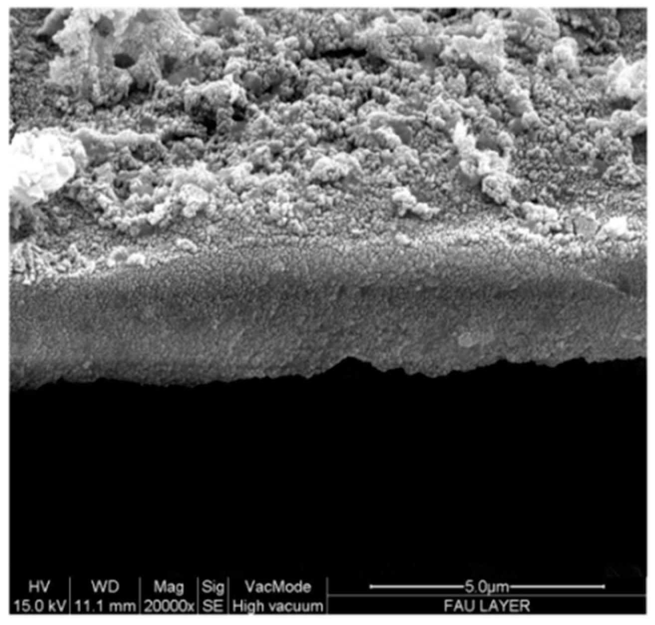 Molecules 21 00394 g006
