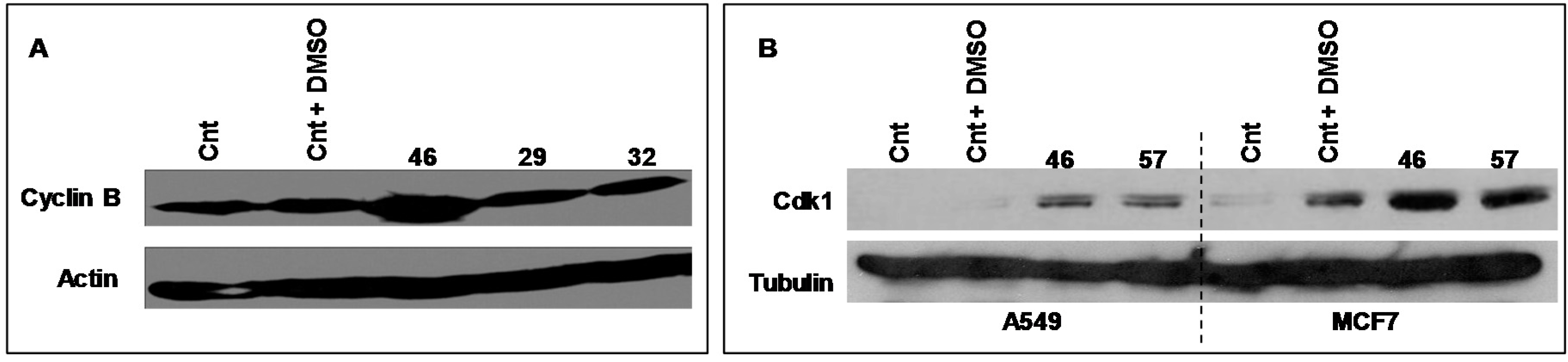 Molecules 21 00395 g007