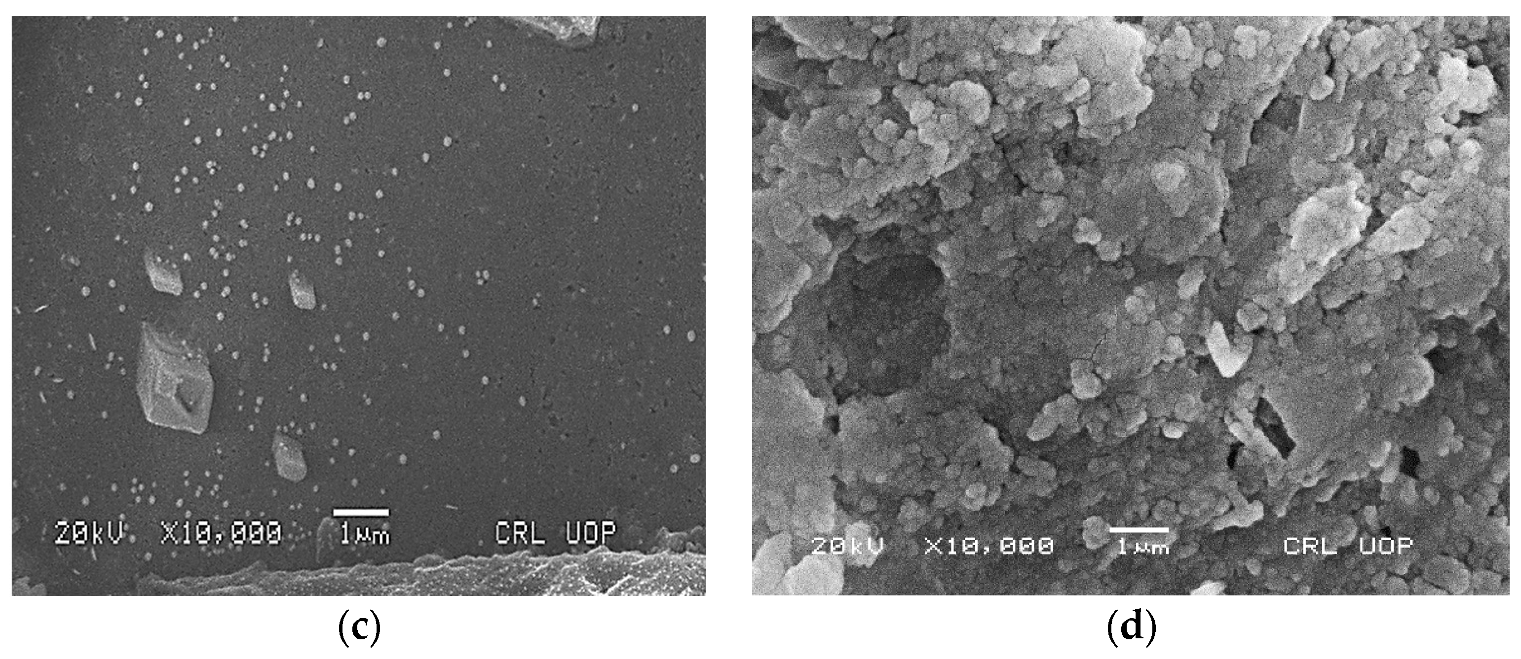 Molecules 21 00411 g004b 550