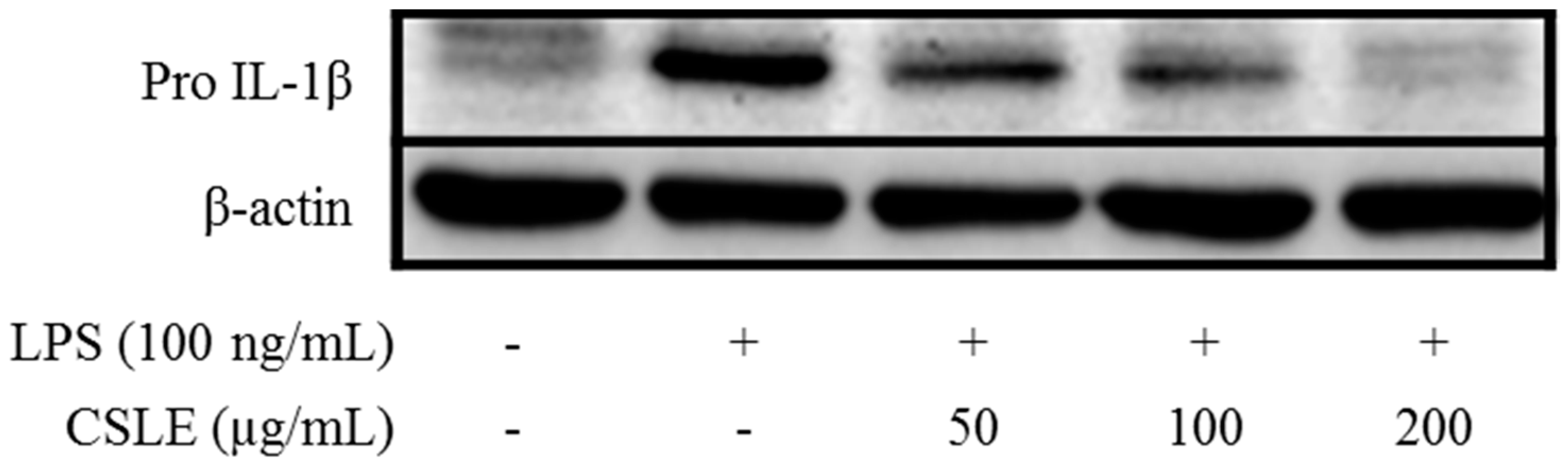 Molecules 21 00422 g004 550
