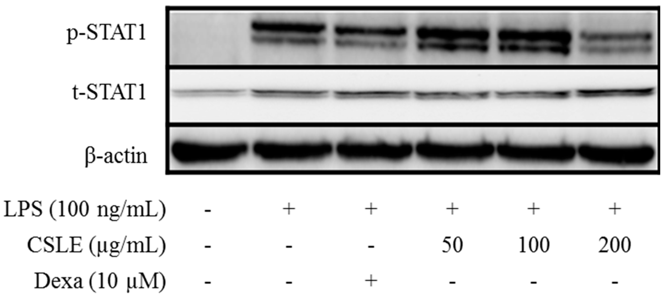 Molecules 21 00422 g007 550