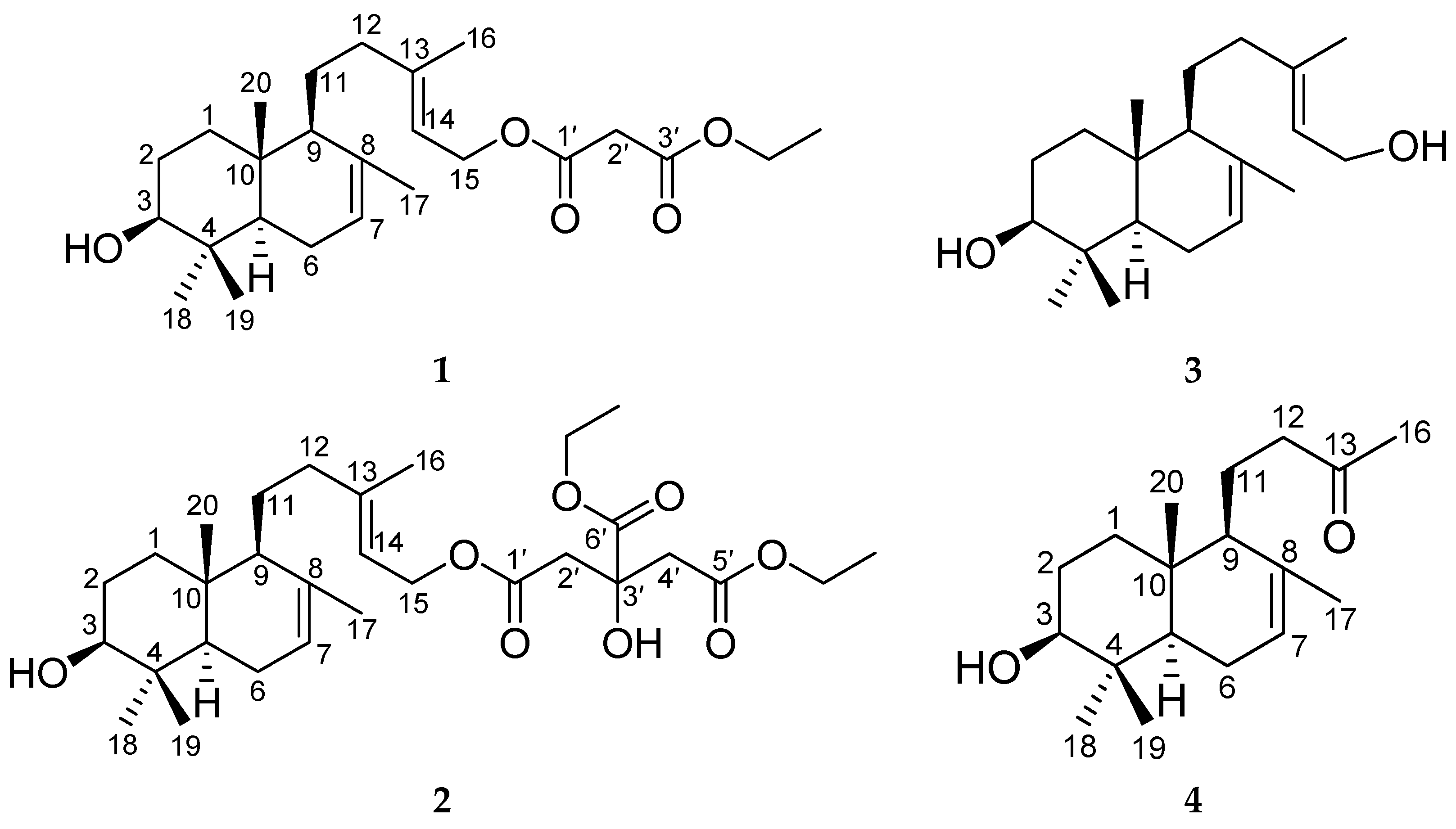 Molecules 21 00434 g001