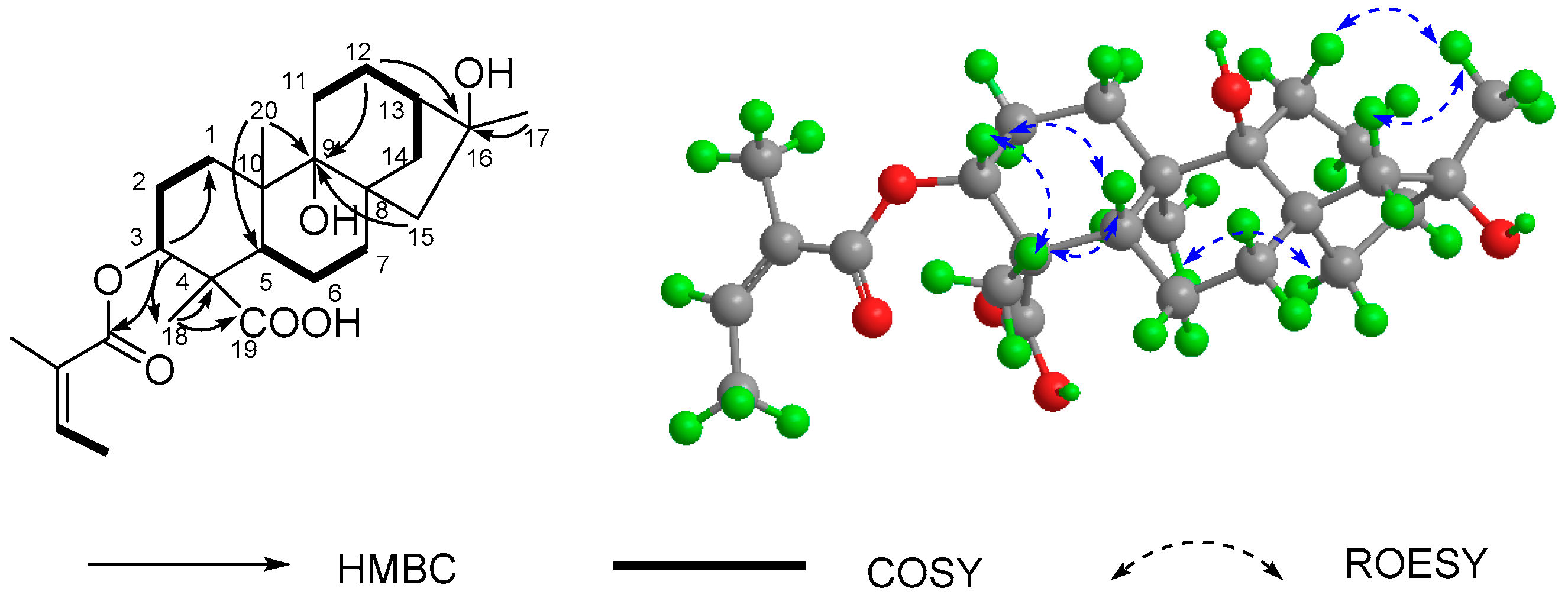 Molecules 21 00457 g002