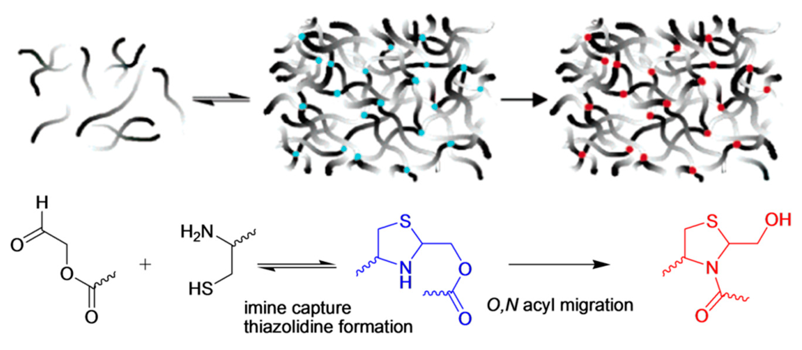 Molecules 21 00497 g008 550