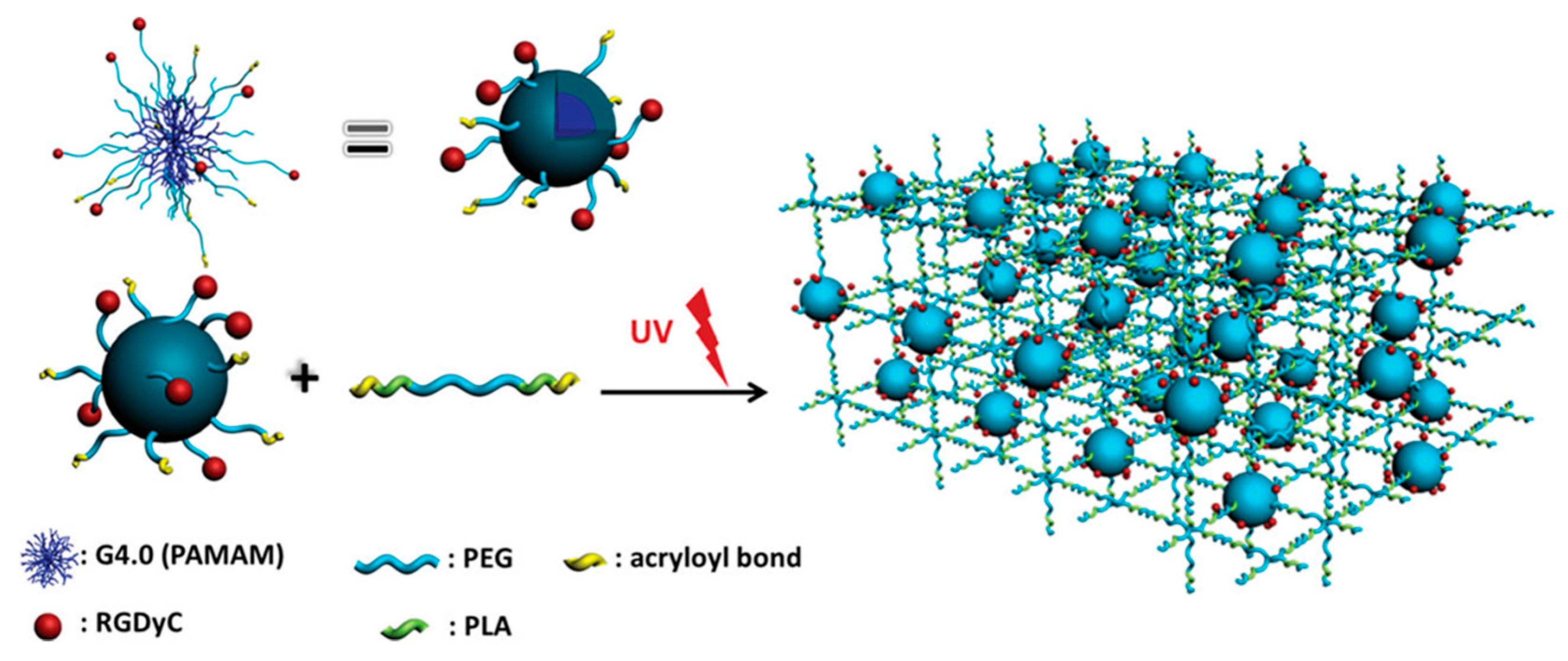 Molecules 21 00497 g023 550
