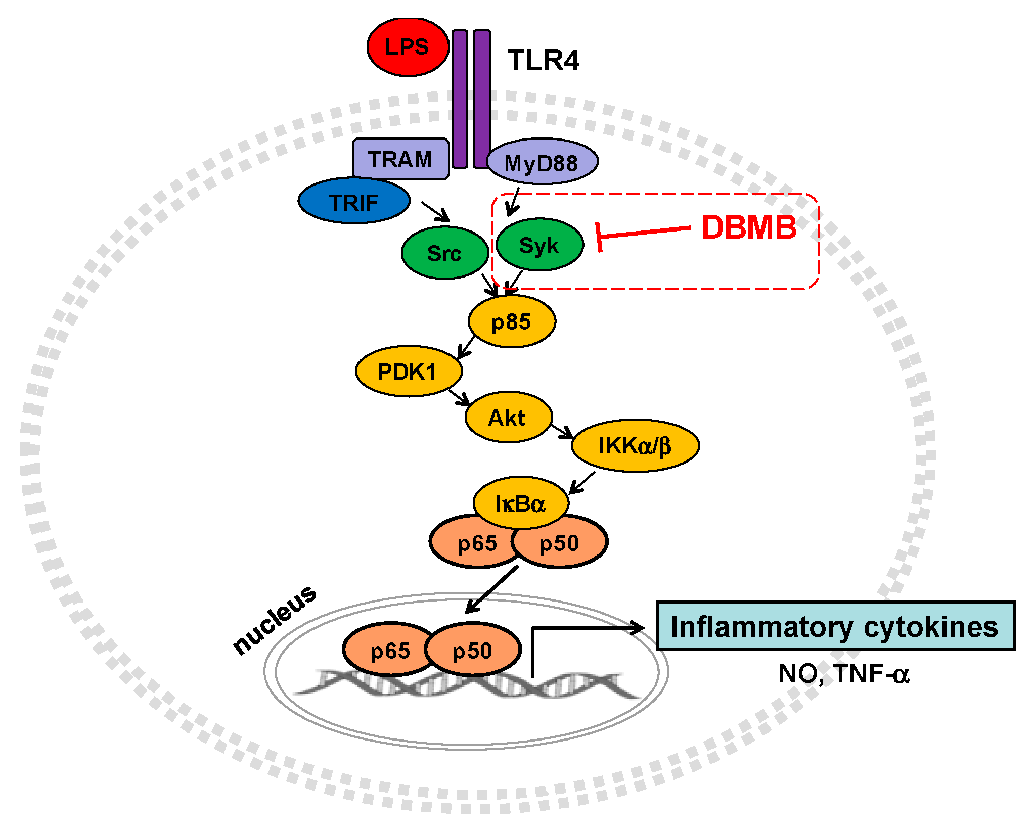 Molecules 21 00508 g004