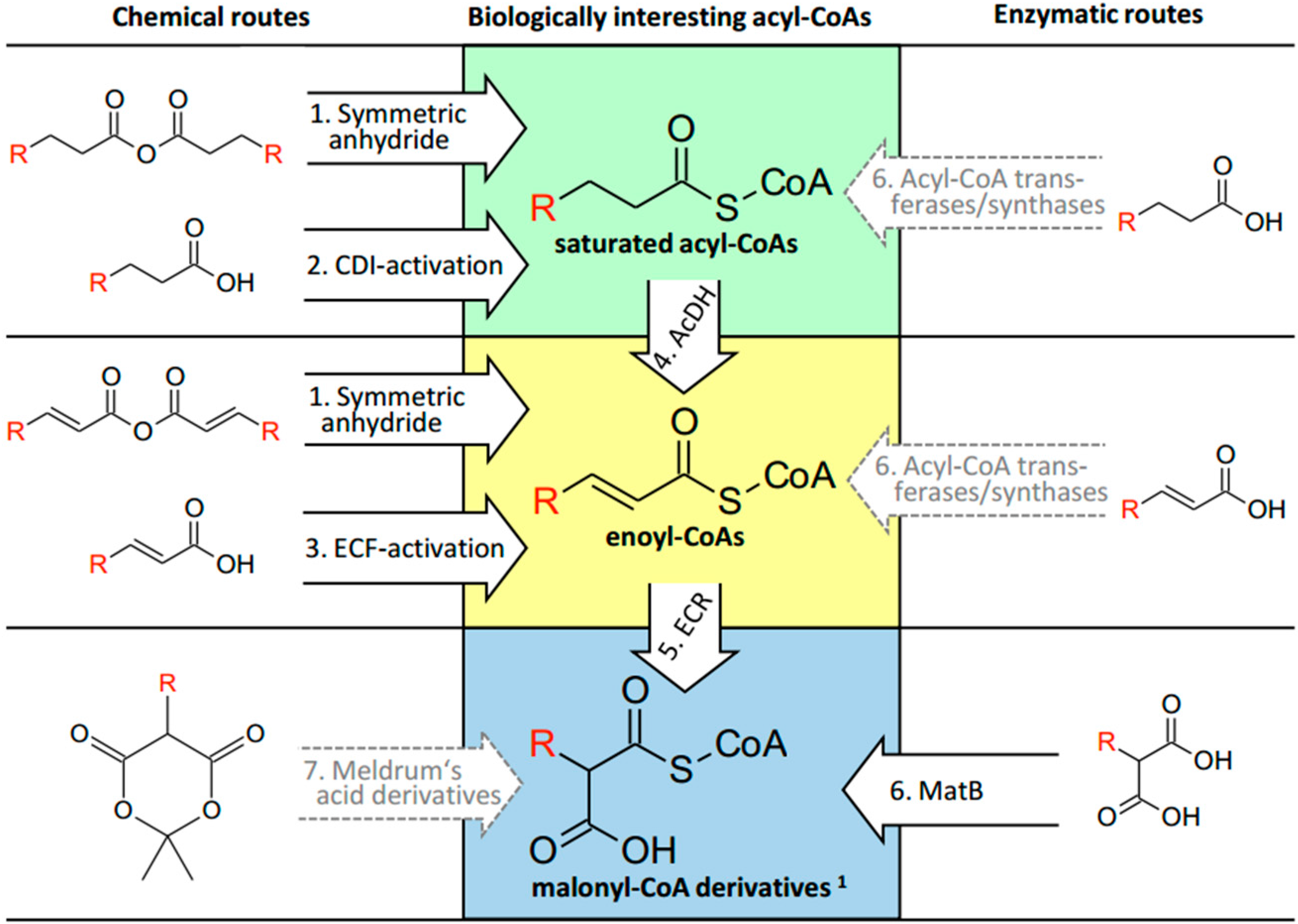 Molecules 21 00517 g003