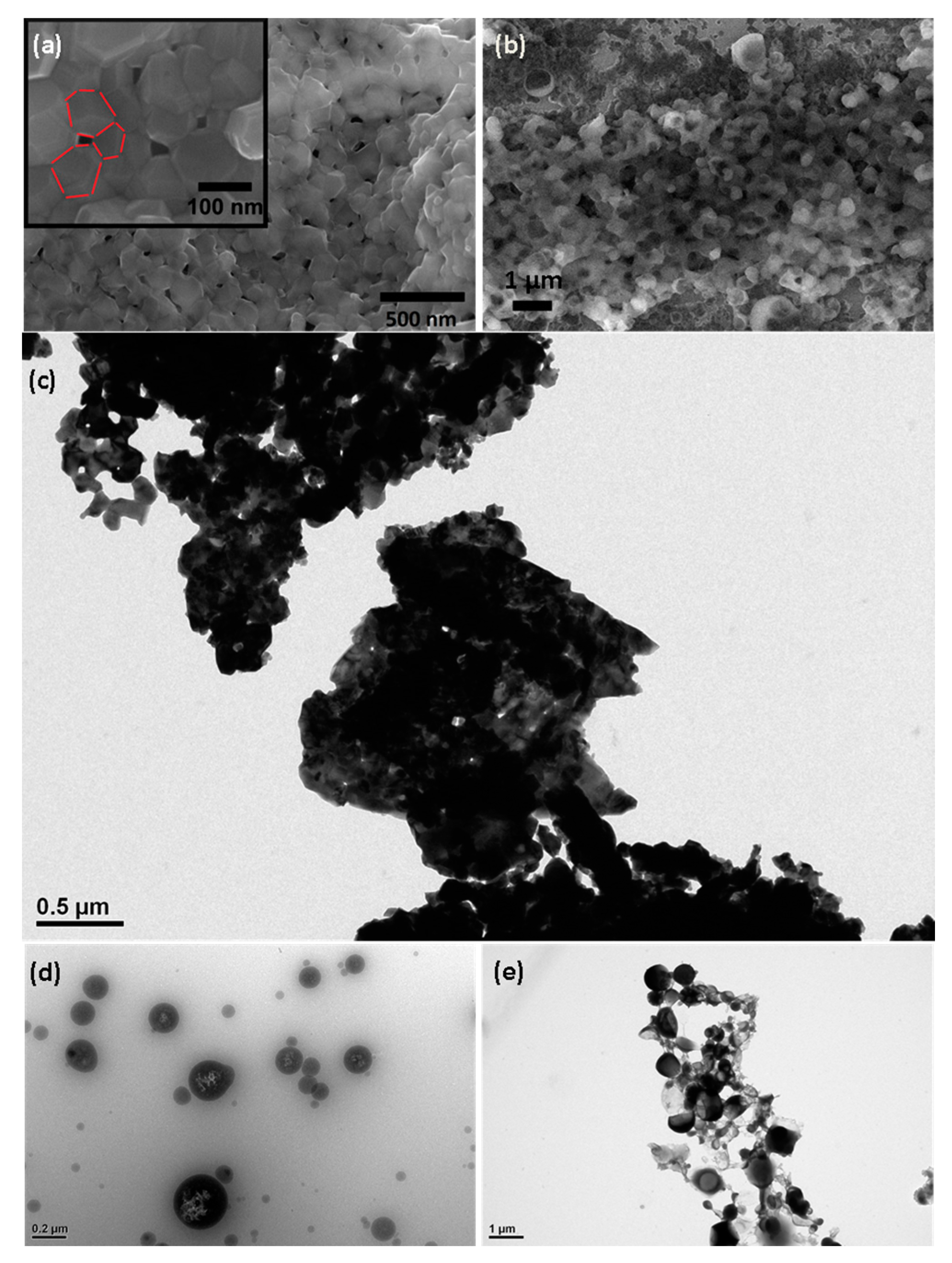 Molecules 21 00520 g004 550