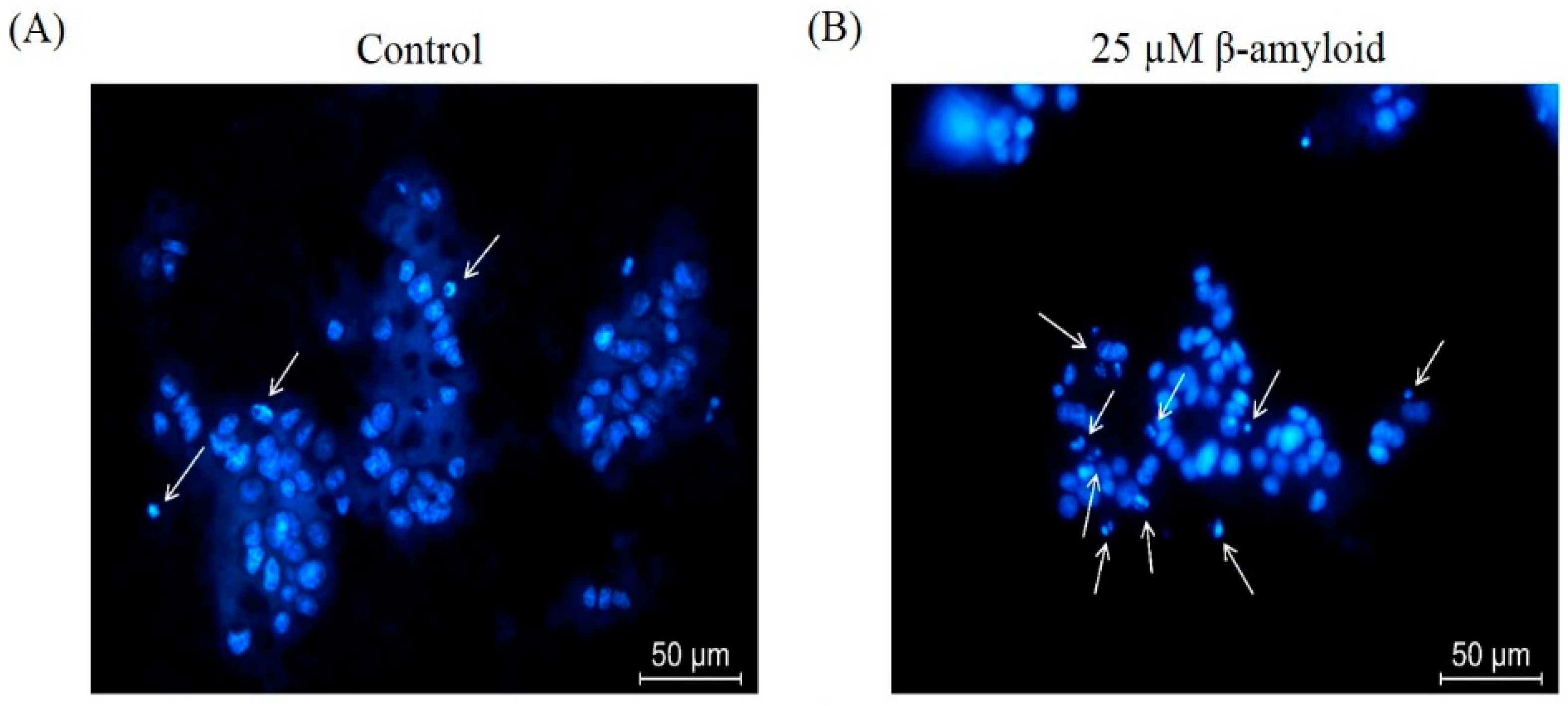 Molecules 21 00548 g003a