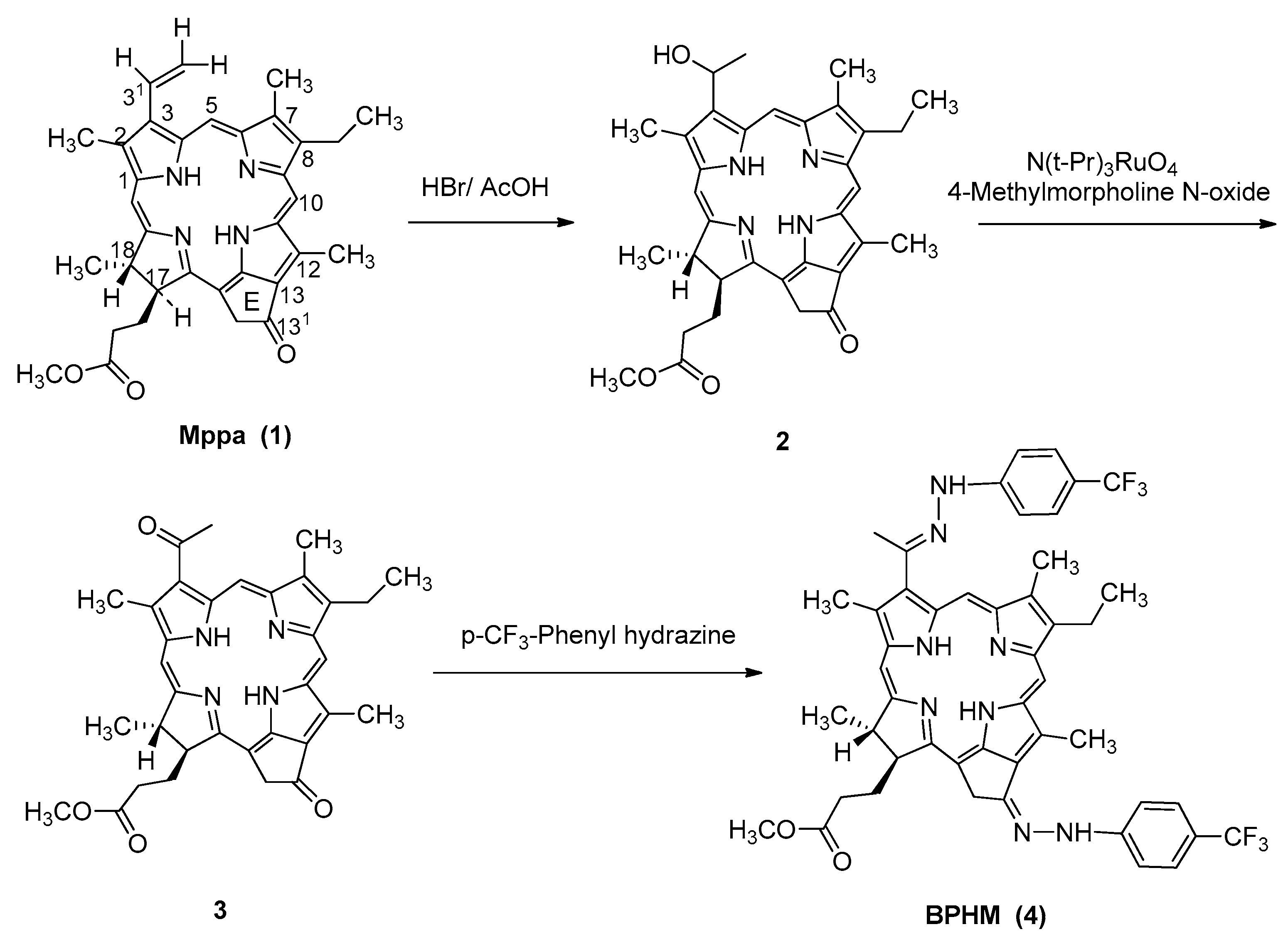 Molecules 21 00558 sch001