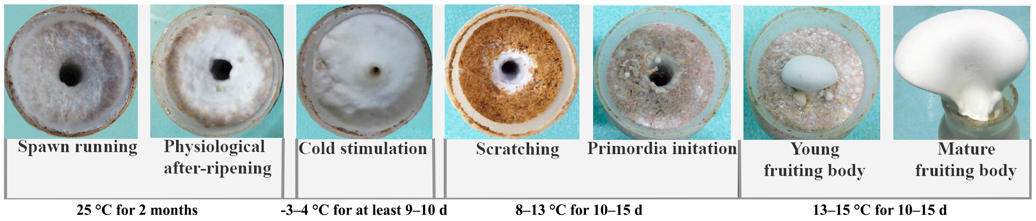 Molecules 21 00560 g001