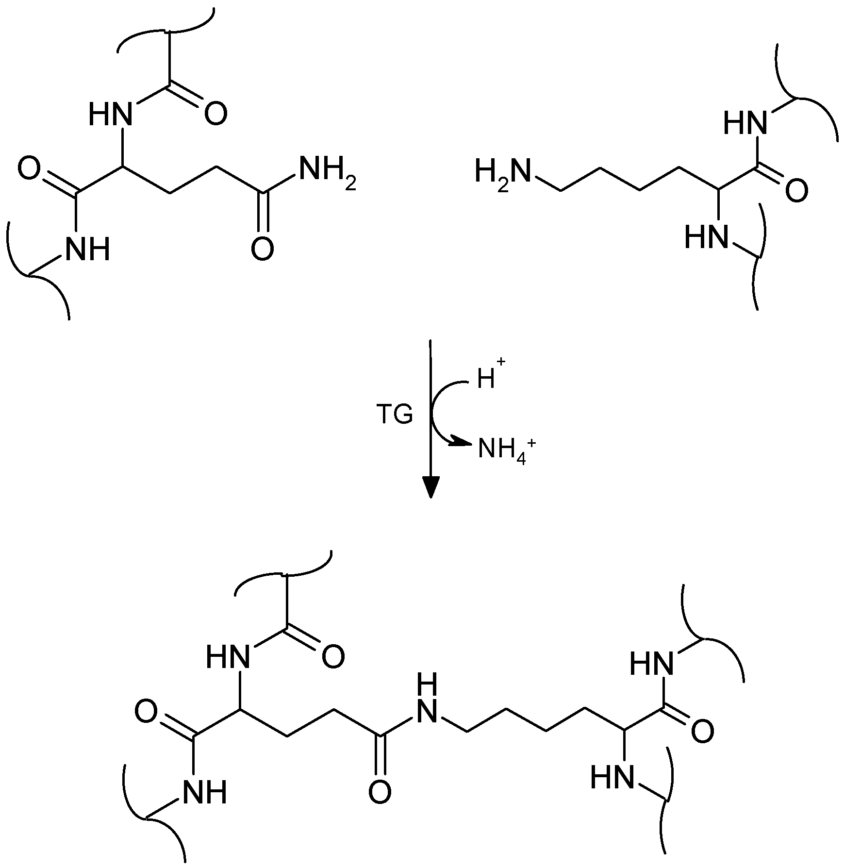 Molecules 21 00577 g004 550