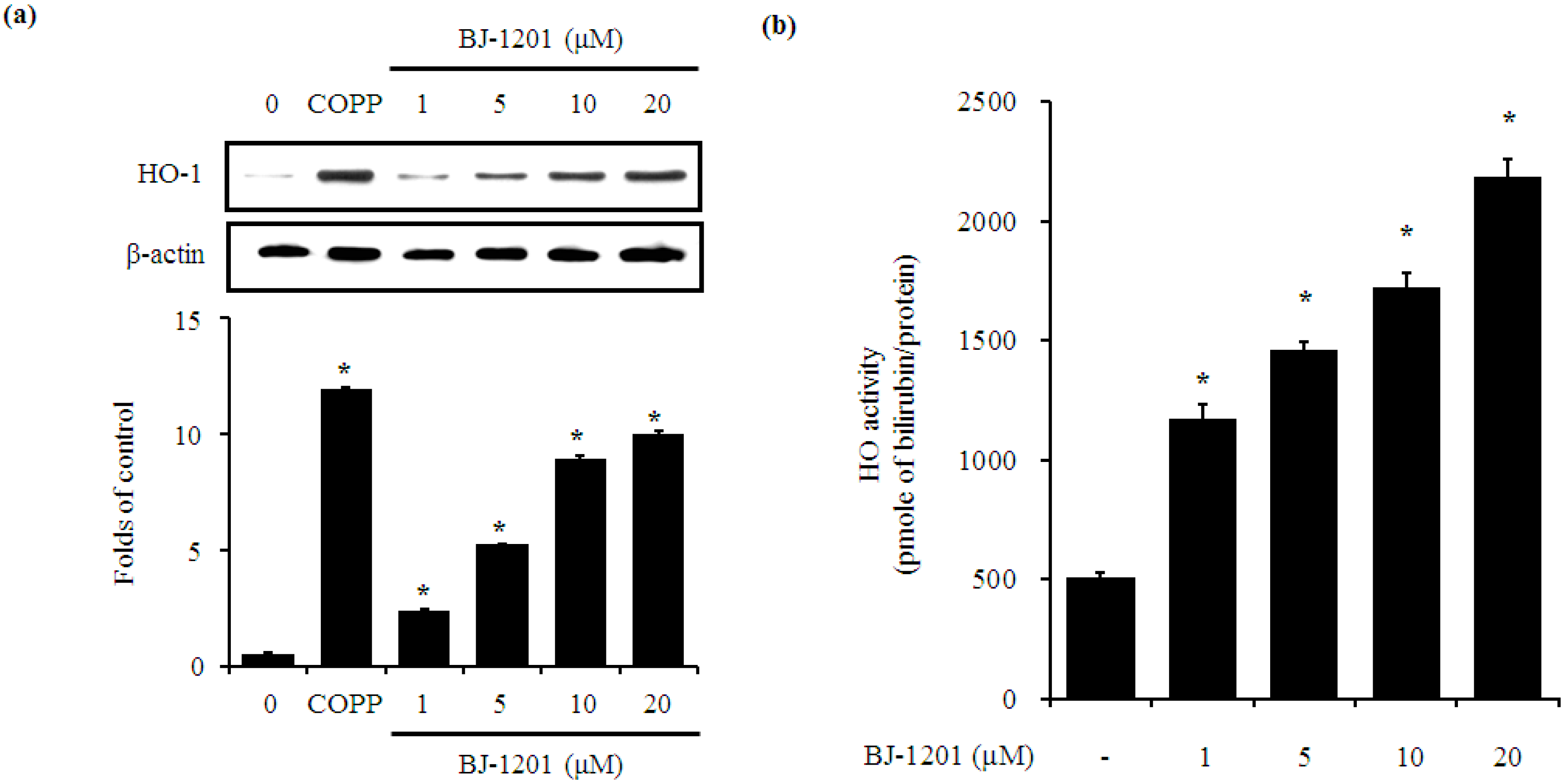 Molecules 21 00594 g002