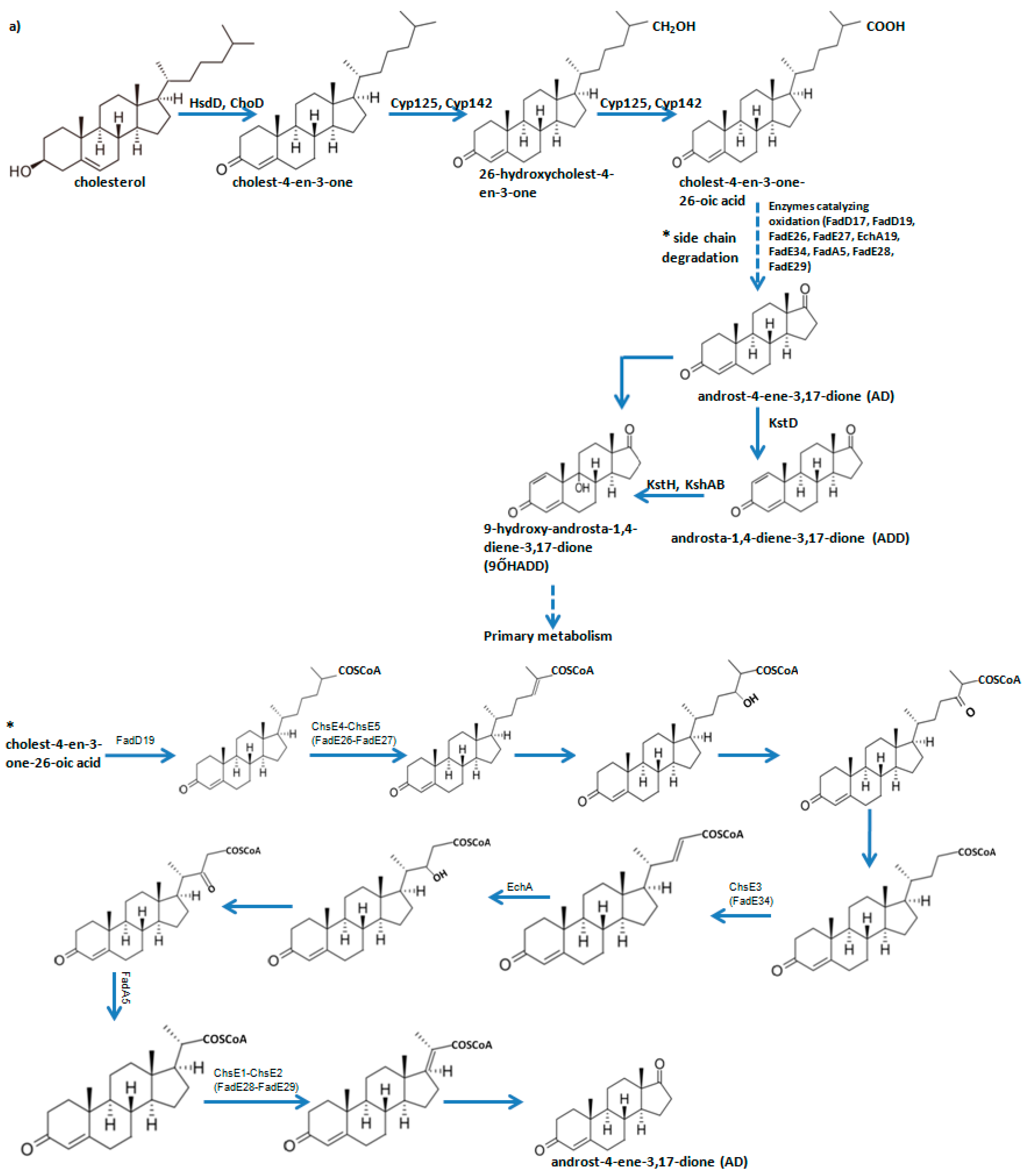 Molecules 21 00598 sch001a