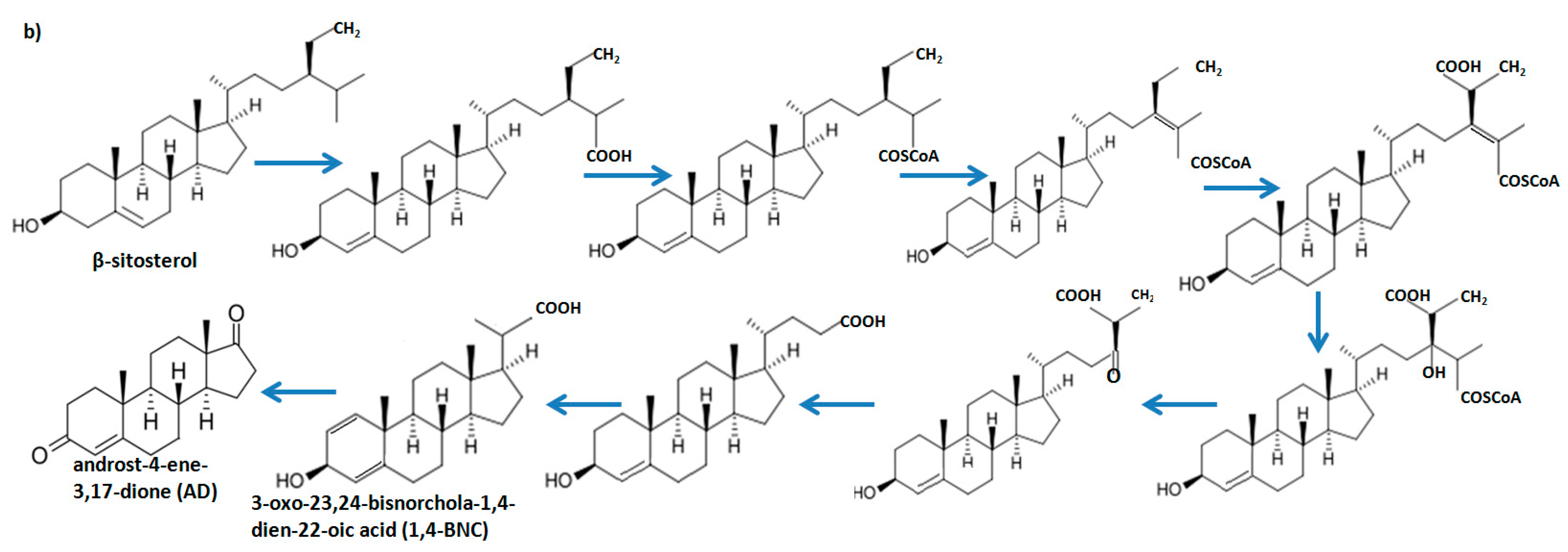 Molecules 21 00598 sch001b